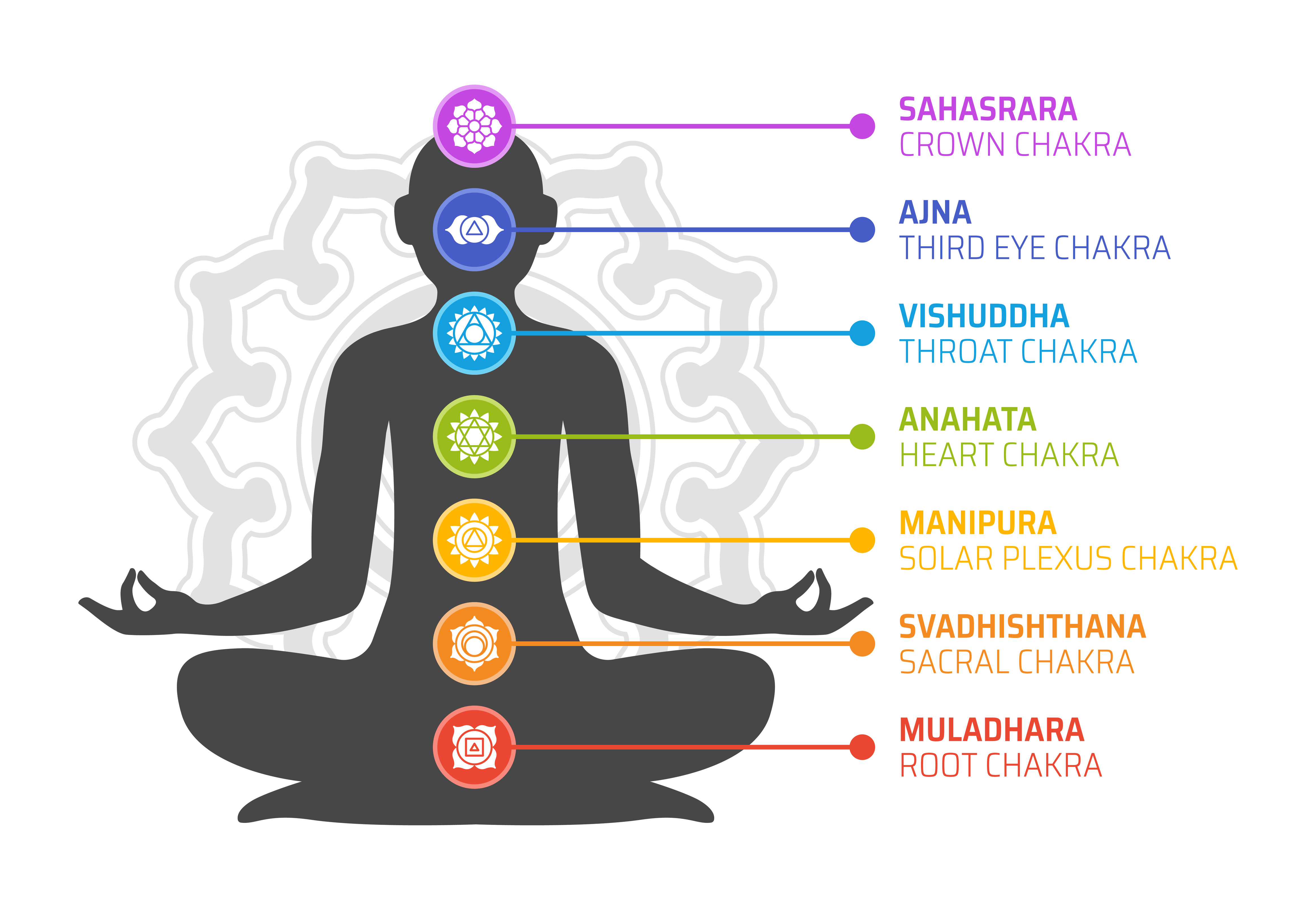 Seven chakras - the energy centers of holistic wellness